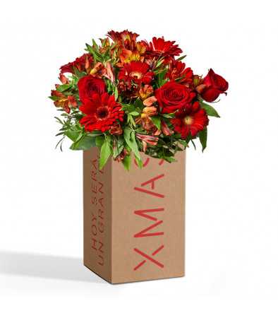 https://www.matiasbuenosdias.com/3346-thickbox_default/pack-bouquet-variado-rojo-xmas.jpg
