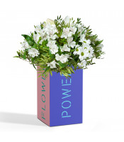 https://www.matiasbuenosdias.com/3790-large_default/pack-bouquet-variado-blanco-para-cualquier-ocasion.jpg