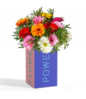 https://www.matiasbuenosdias.com/3793-large_default/pack-gerbera-flower-power.jpg