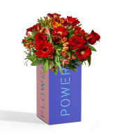 https://www.matiasbuenosdias.com/3794-large_default/pack-bouquet-rojo-flower-power.jpg