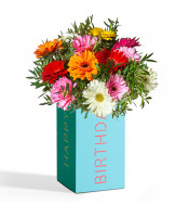 https://www.matiasbuenosdias.com/3798-large_default/pack-gerbera-cumpleanos.jpg