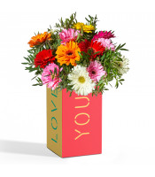 https://www.matiasbuenosdias.com/3802-large_default/pack-gerbera-amor.jpg