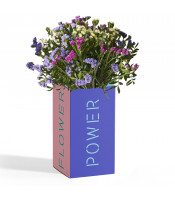 https://www.matiasbuenosdias.com/3810-large_default/pack-statice-flower-power-.jpg