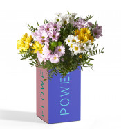 https://www.matiasbuenosdias.com/3812-large_default/pack-margaritas-flower-power-.jpg