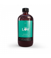 https://www.matiasbuenosdias.com/3847-large_default/kombucha-moringa-jengibre-y-menta.jpg
