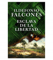 https://www.matiasbuenosdias.com/4080-large_default/libro-esclava-de-la-libertad.jpg