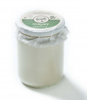 https://www.matiasbuenosdias.com/4110-large_default/yogur-con-menta-400grs-delicioso.jpg