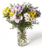https://www.matiasbuenosdias.com/4269-large_default/bouquet-margaritas.jpg