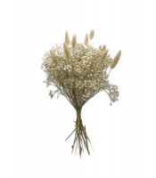 https://www.matiasbuenosdias.com/5779-large_default/ramo-de-flor-preservada-gypso.jpg