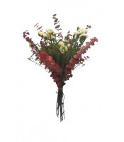 https://www.matiasbuenosdias.com/5781-large_default/ramo-de-flor-preservada-eucaliptos-rojo.jpg