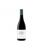 https://www.matiasbuenosdias.com/5956-large_default/vino-blanco-terra-ferma-costers-del-segre-75cl.jpg