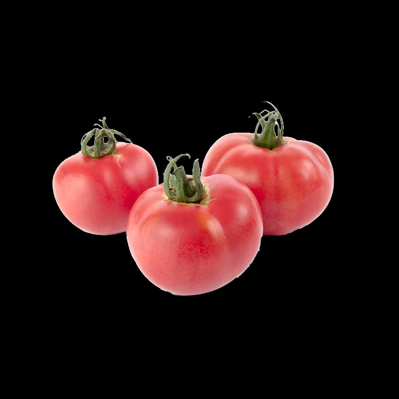 Tomate de Colgar