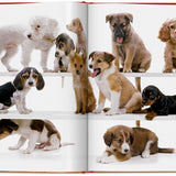 Dogs: Photographs 1941–1991 | Walter Chandoha | TASCHEN