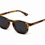 Gafas Zeno Eclipse en Matías Buenos Días · El regalo de este verano ☀️